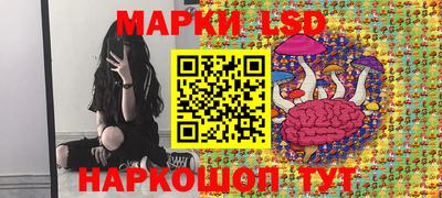 стаф Краснодар