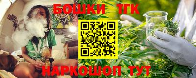СК Краснознаменск