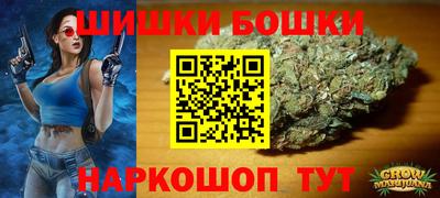 стаф Краснодар