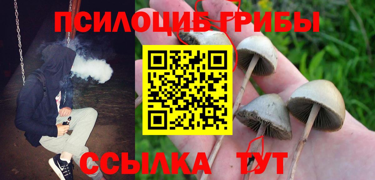 Псилоцибиновые грибы Psilocybe  Галлюциногенные грибы Magic Shrooms  Зеленодольск  Вход с VPN 